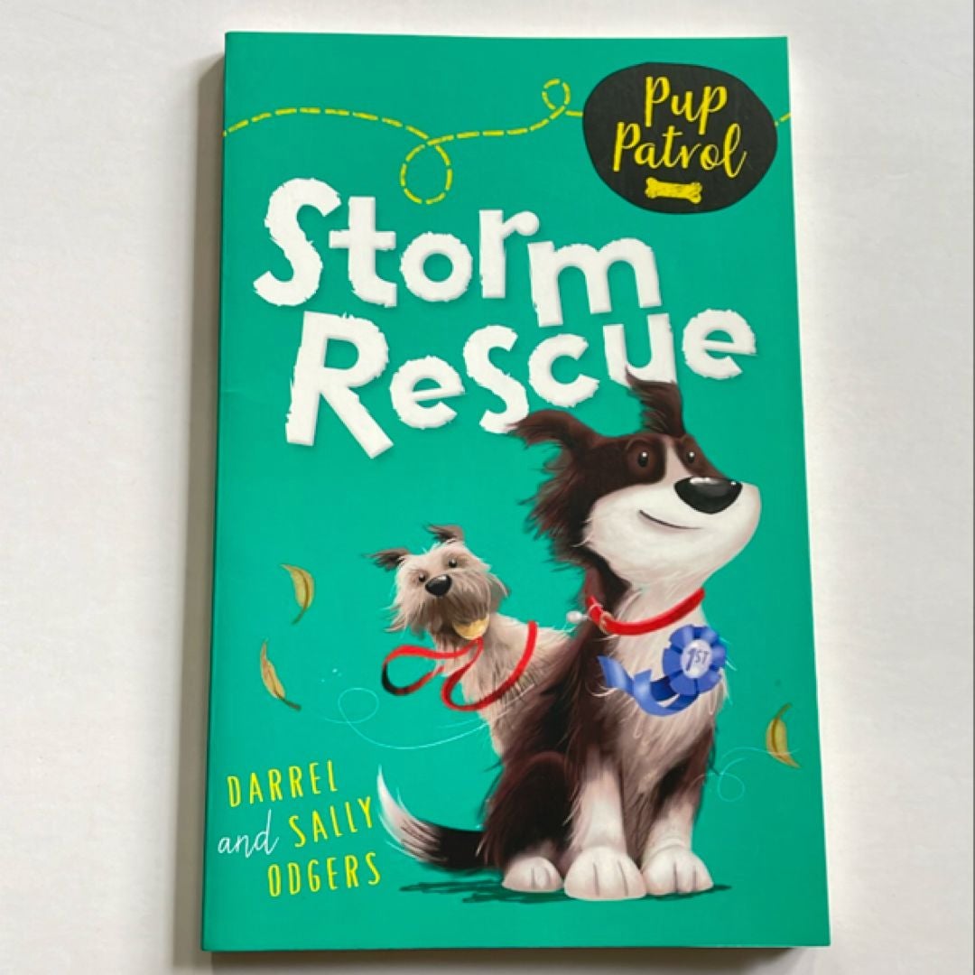 Storm Rescue by Sally & Darrel Odgers