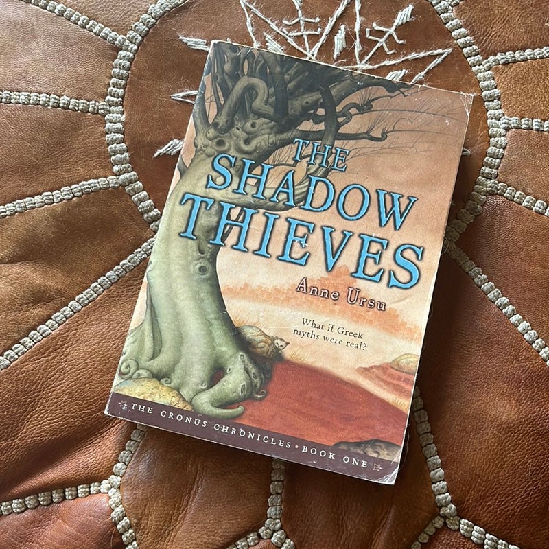 The Shadow Thieves