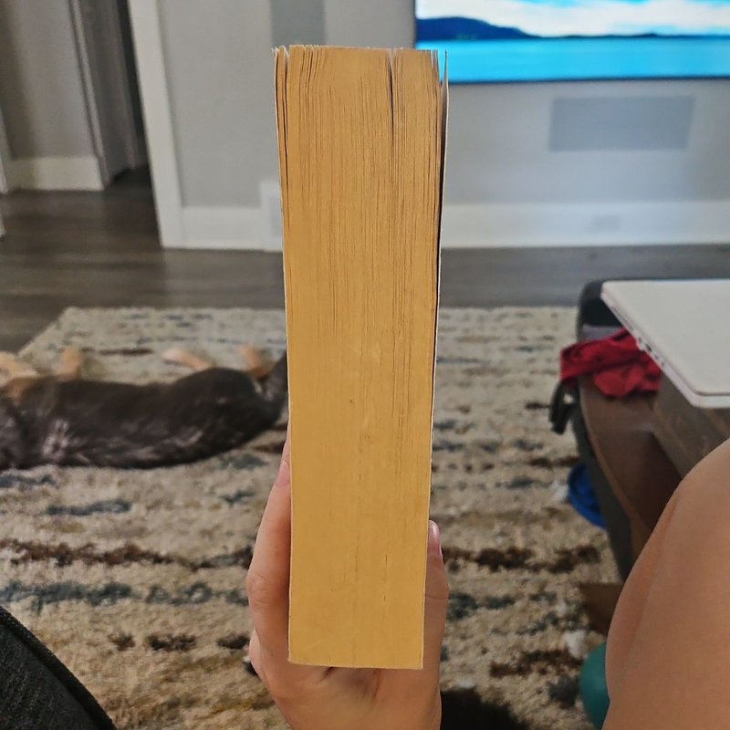 City of Heavenly Fire