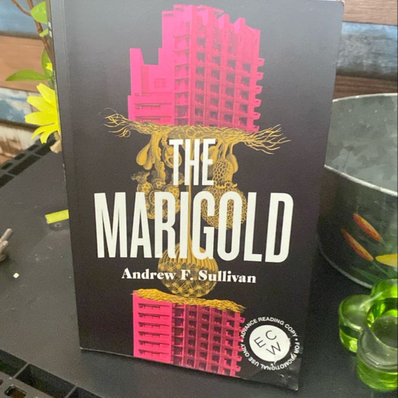 The Marigold