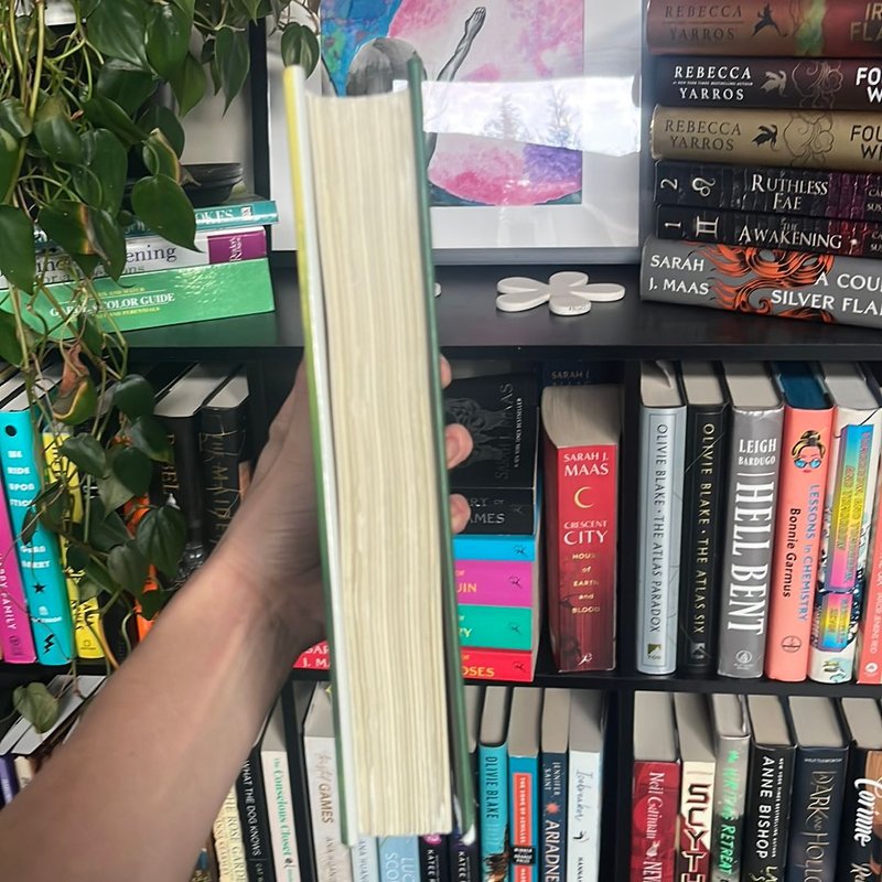 The Flight Portfolio