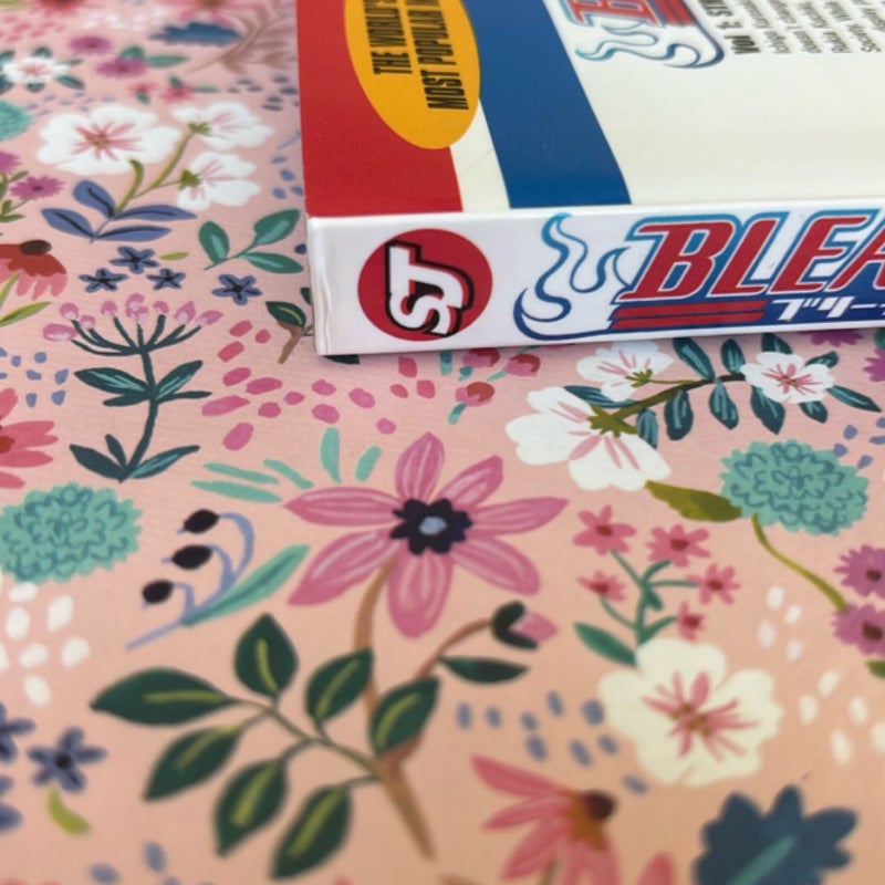 Bleach, Vol. 1-3 