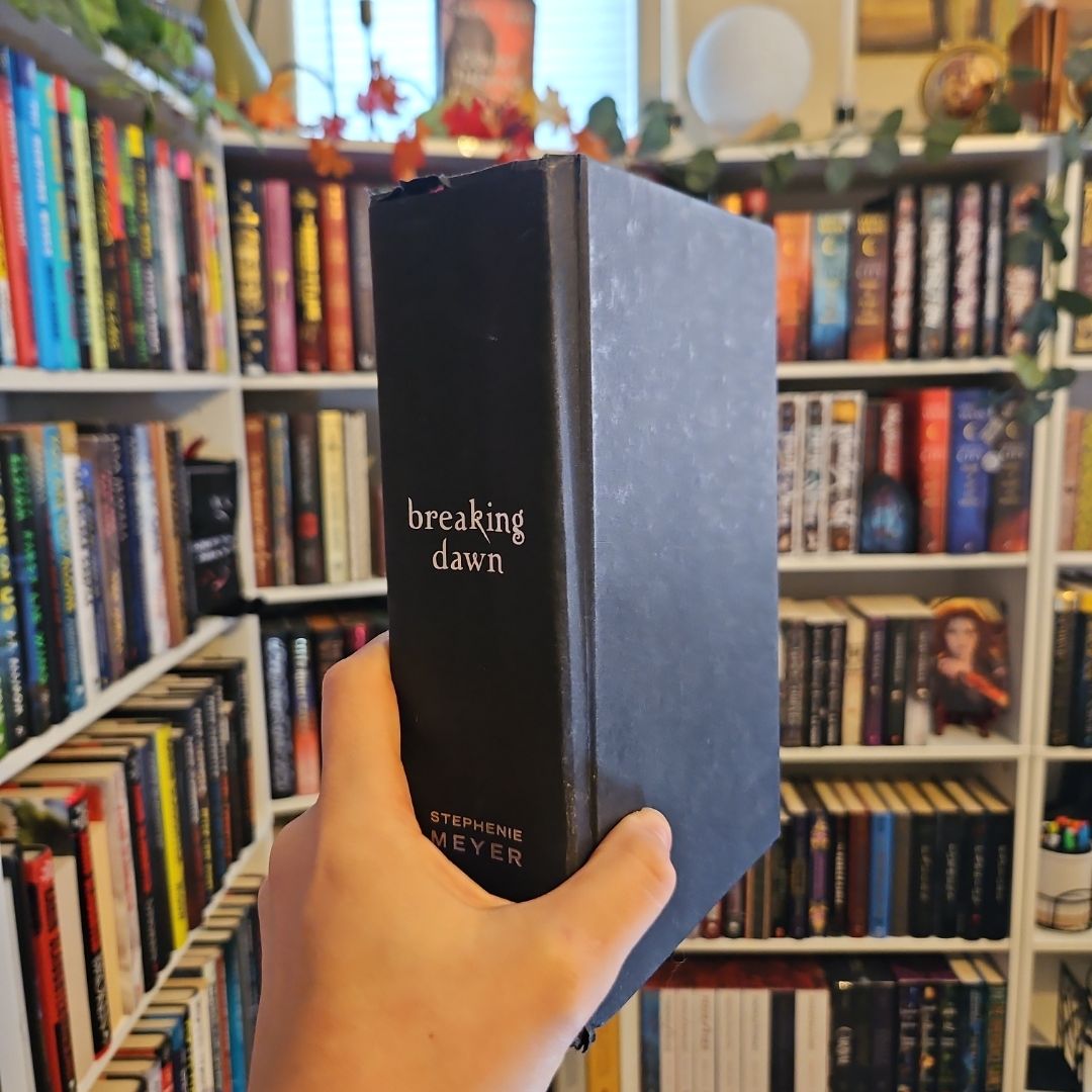 Breaking Dawn