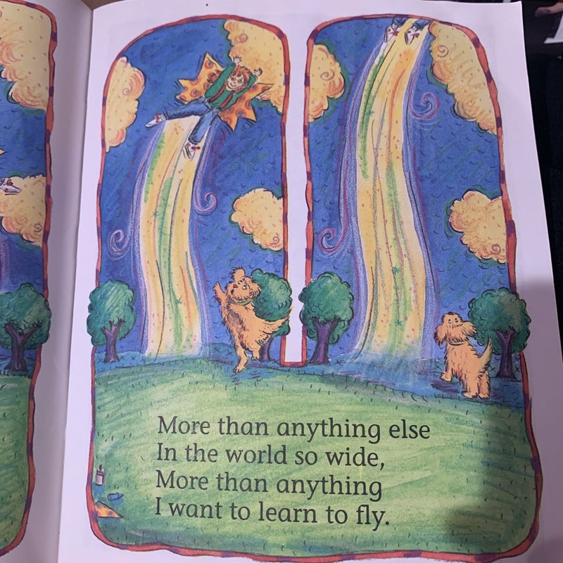 i want to learn to fly 