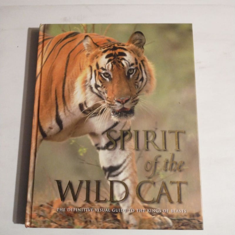 Spirit of the Wild Cat