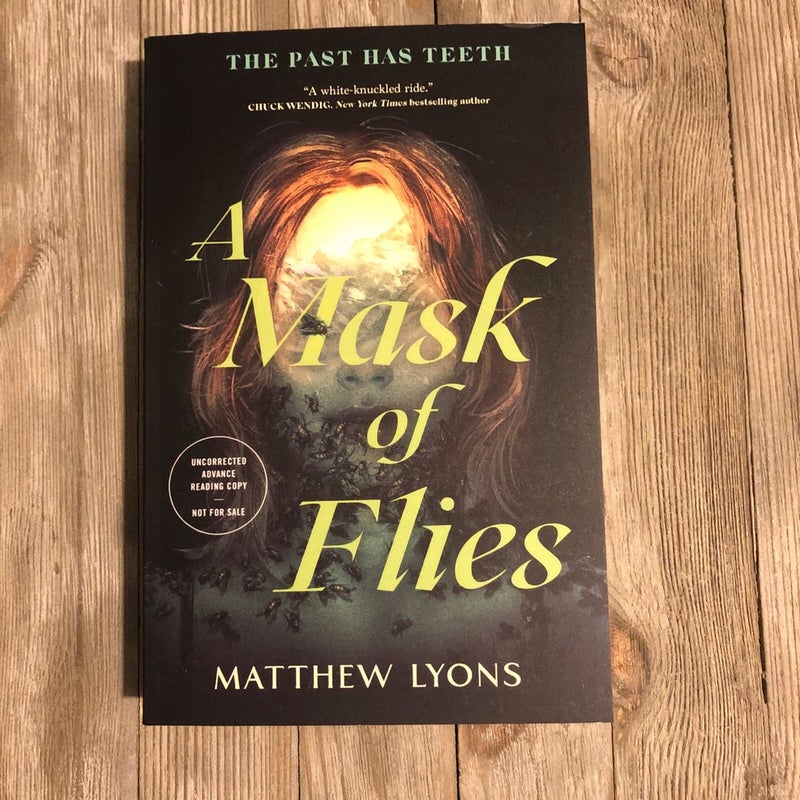 A Mask Of Flies