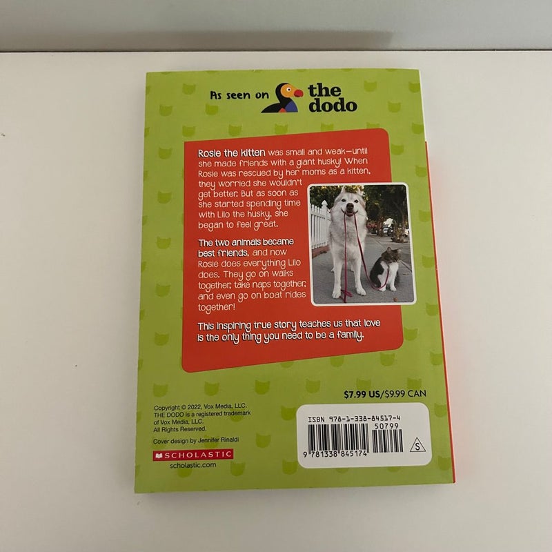 【中古】 Rosie’s Story (the Dodo)/SCHOLASTIC/Bonnie Bader The Dodo Rosie's Story by Bonnie Bader | Book Trailer - YouTube