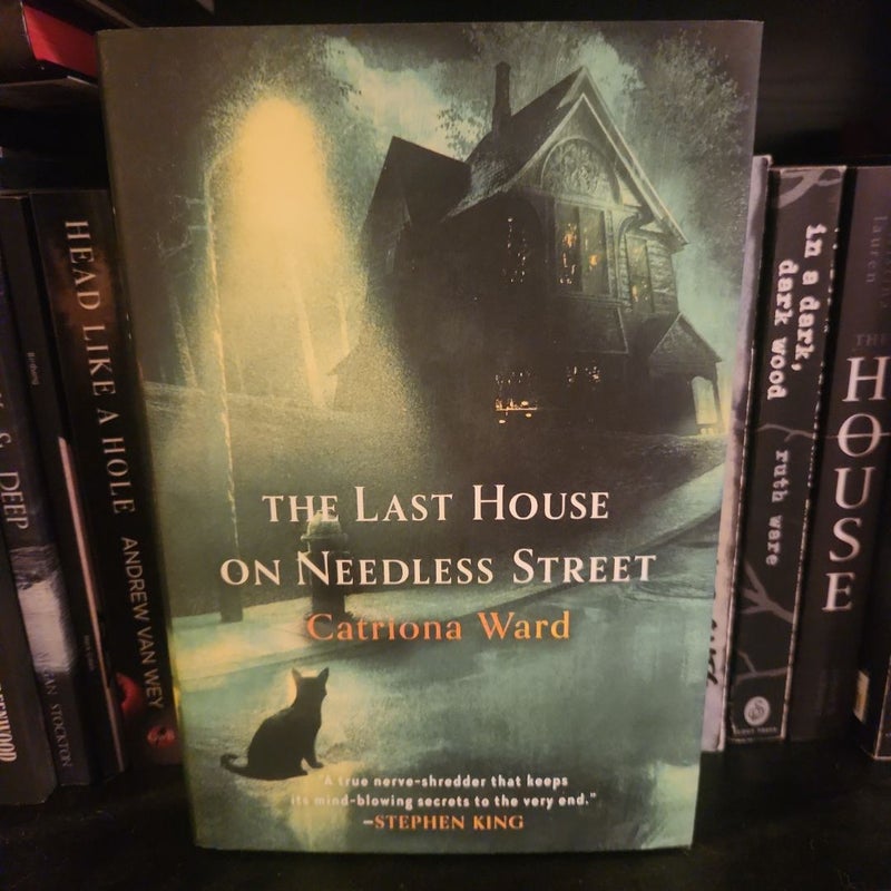 The Last House on Needless Street