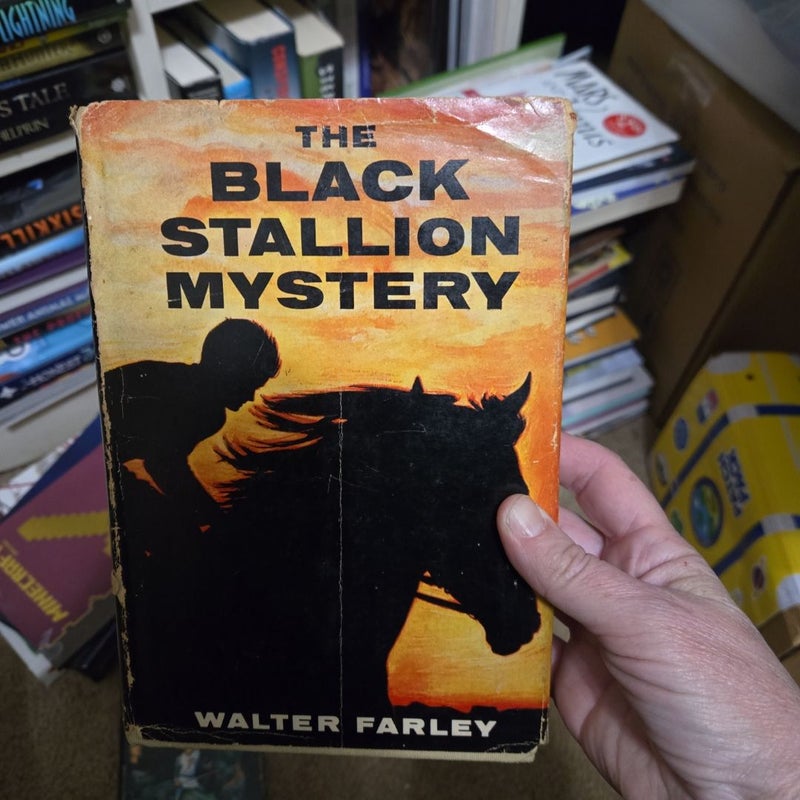 The Black Stalion Mystery