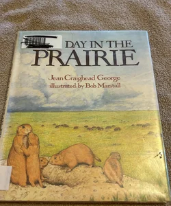 Day in the prairie 