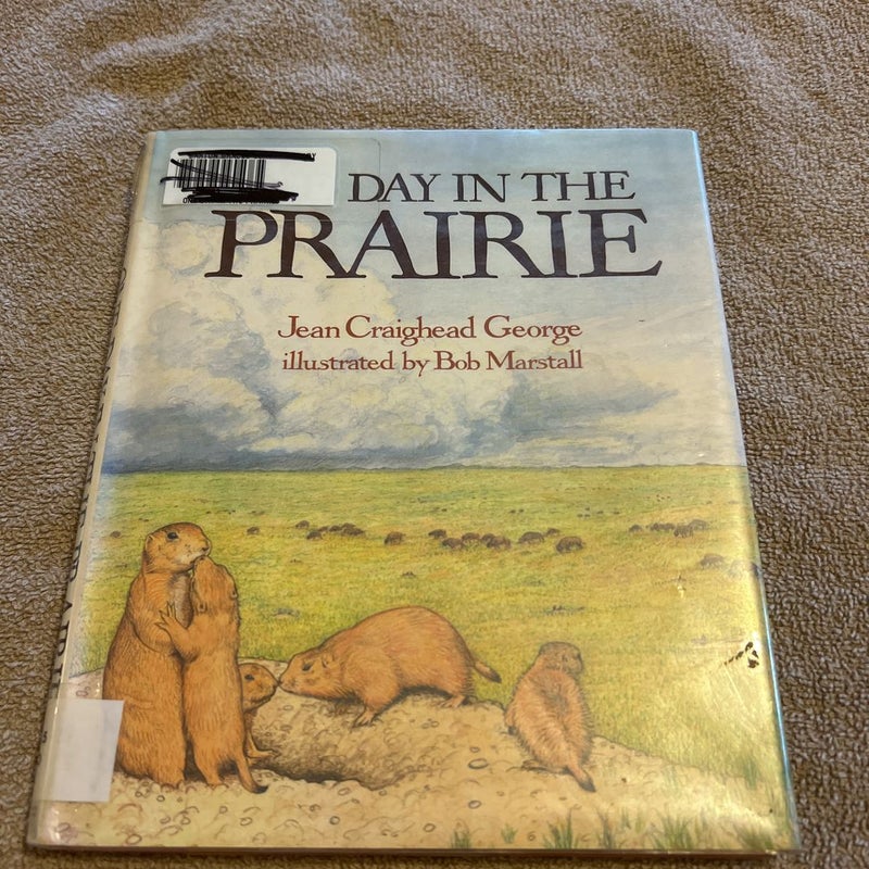 Day in the prairie 