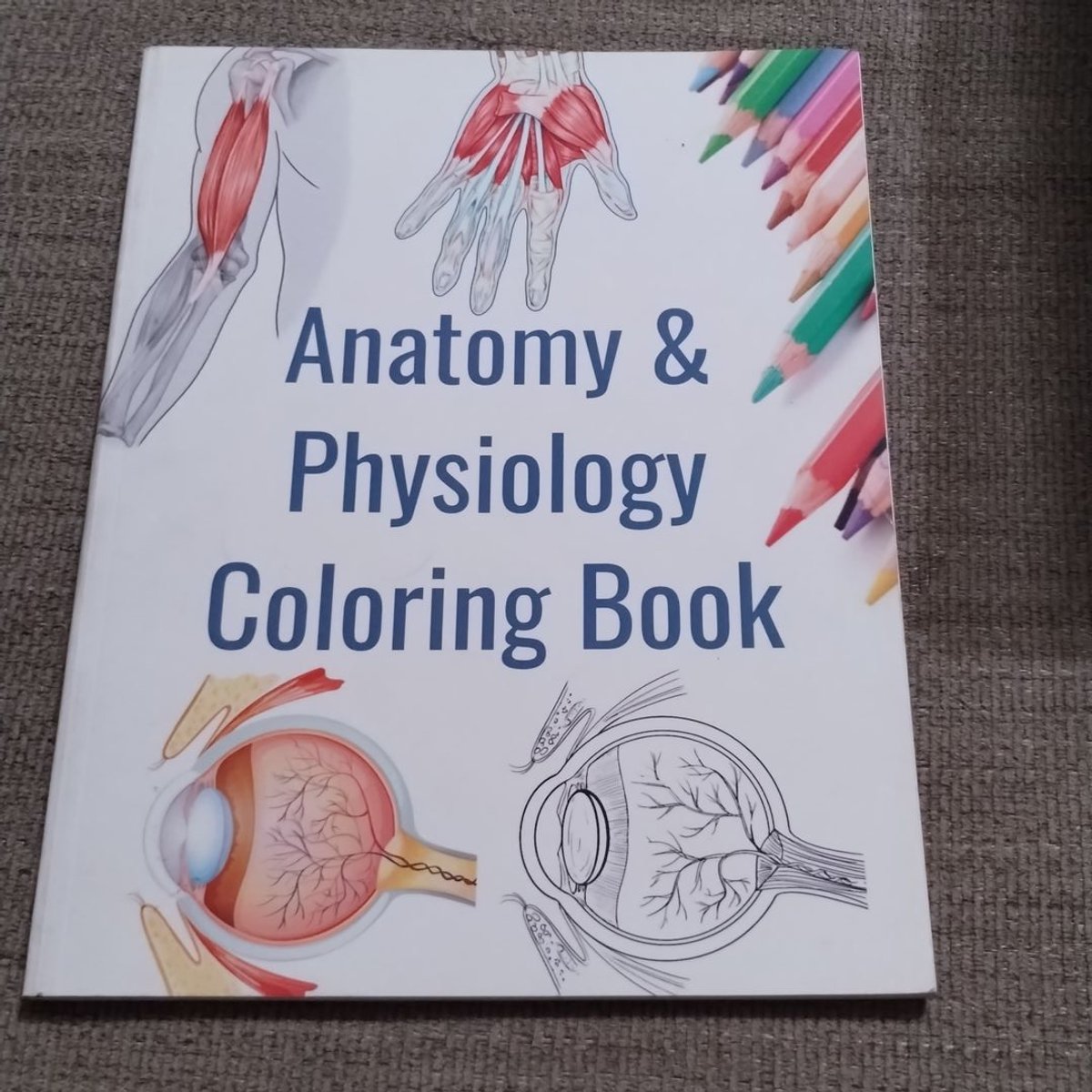 Anatomy and Physiology Coloring Book by Sam Hammond