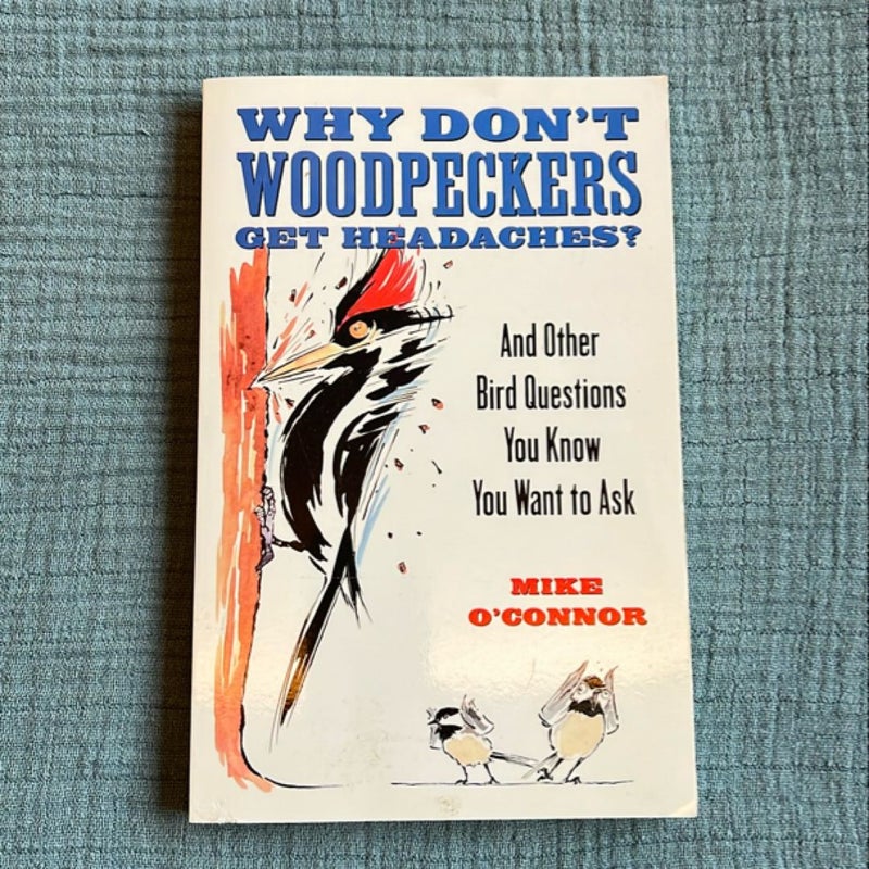 Why Don't Woodpeckers Get Headaches?