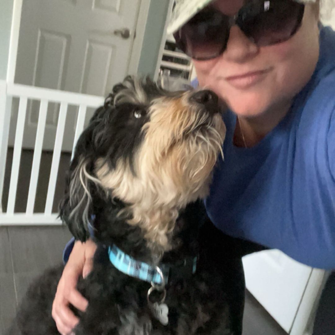 Books, Beaches & a Bernedoodle
