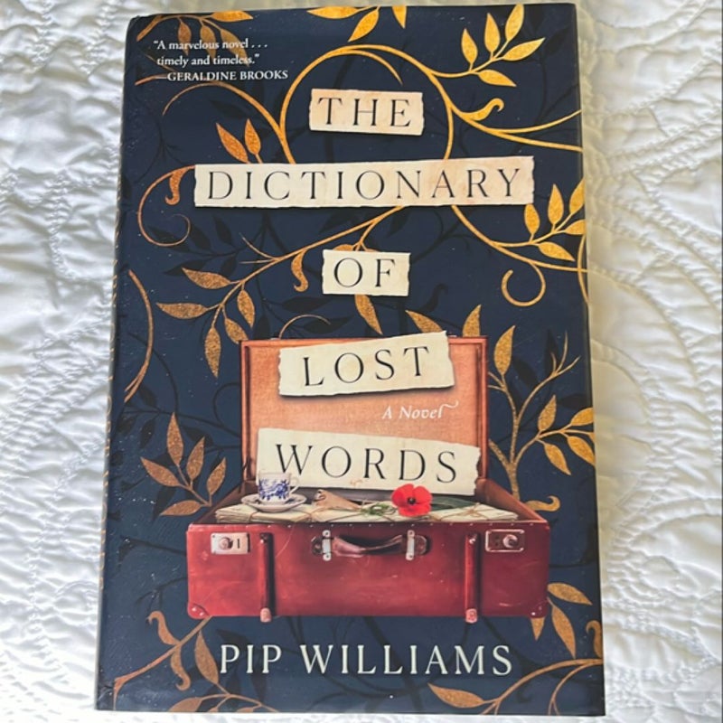 The Dictionary of Lost Words