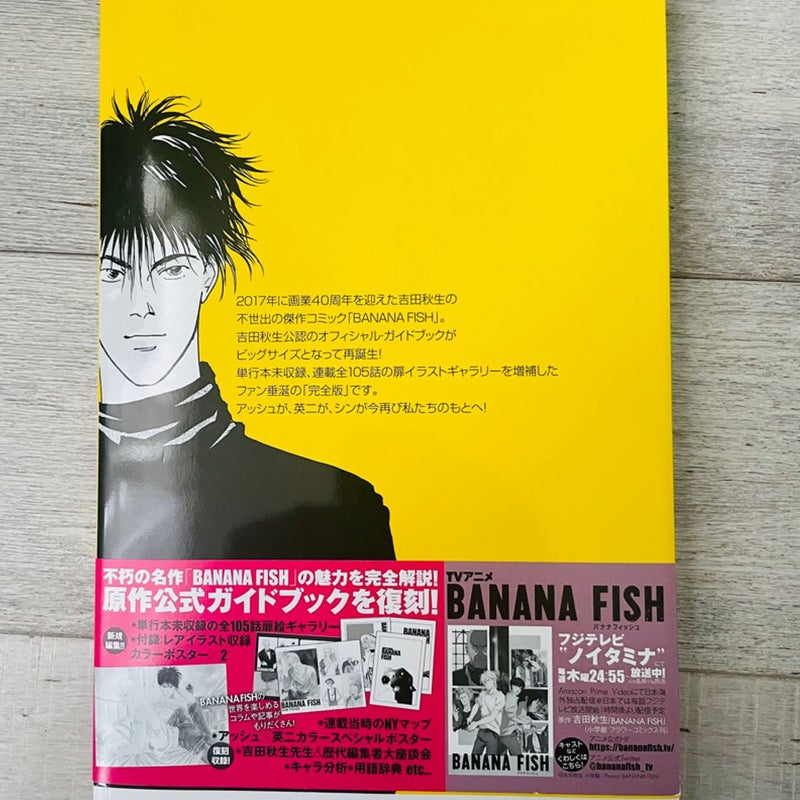 Banana Fish Official Guidebook