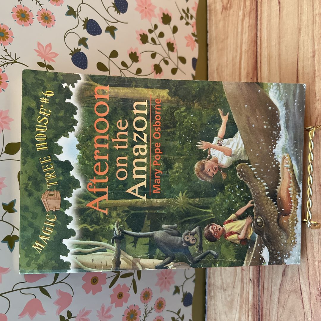 Afternoon on the Amazon