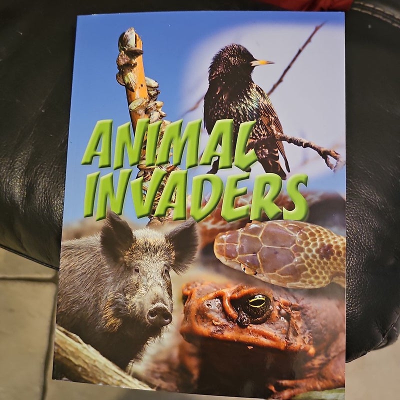 Animal Invaders