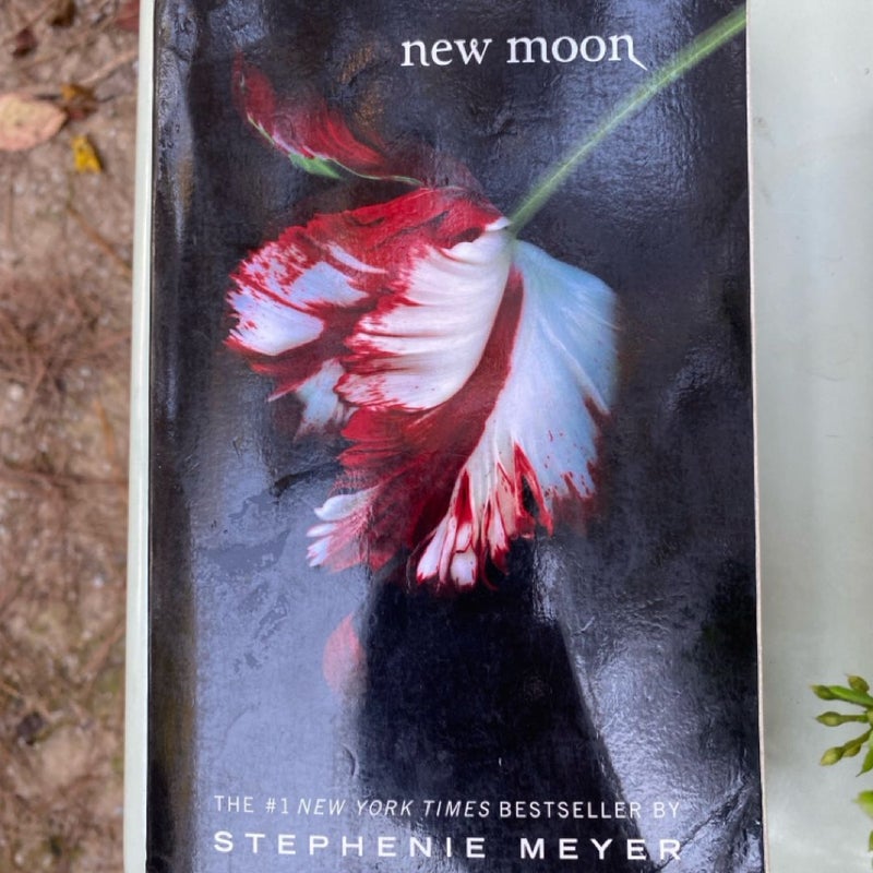 New Moon