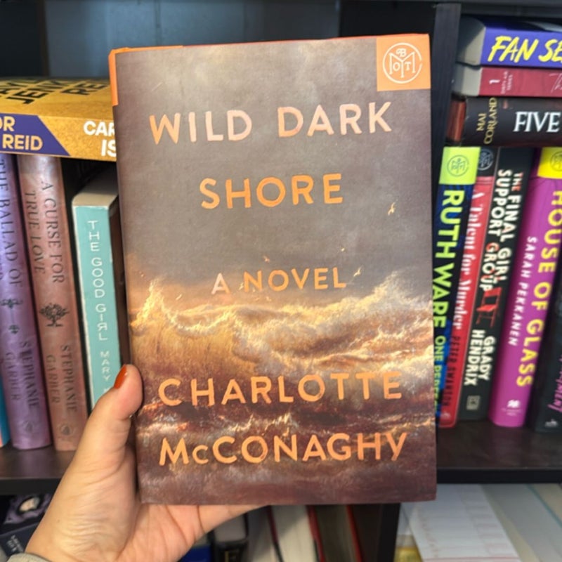 Wild Dark Shore
