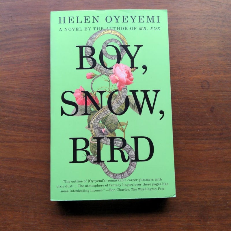 Boy, Snow, Bird