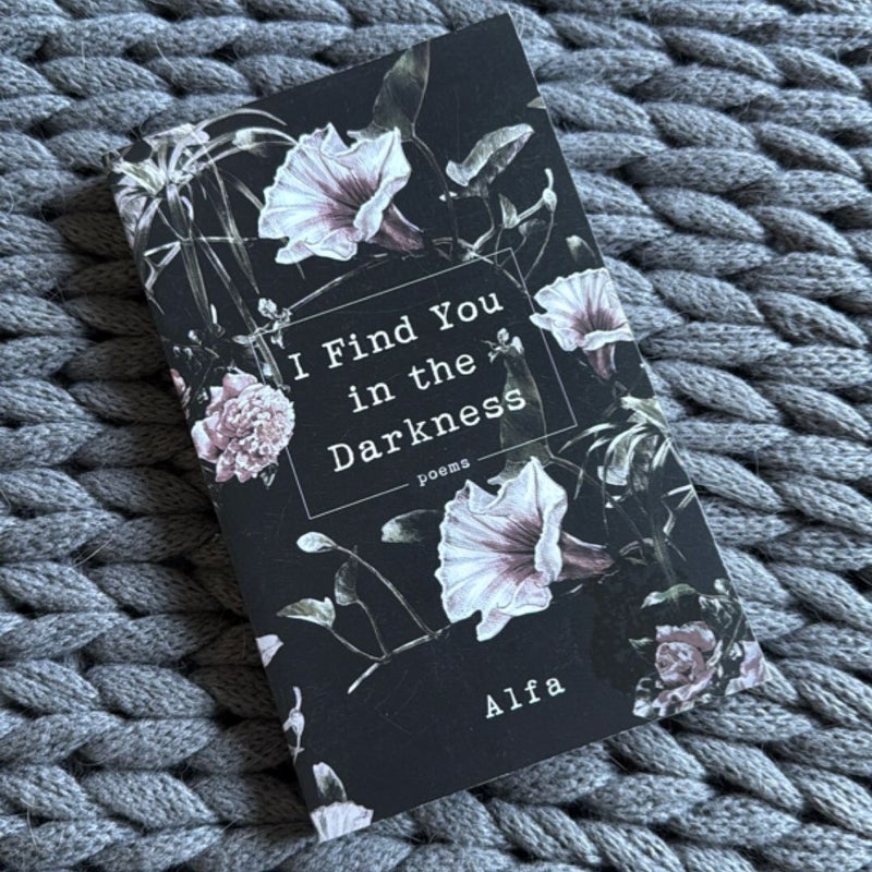 I Find You in the Darkness