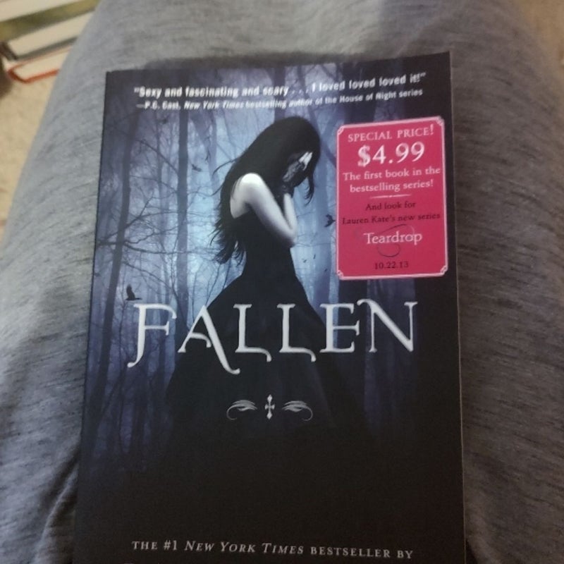 Fallen Series (4 books)