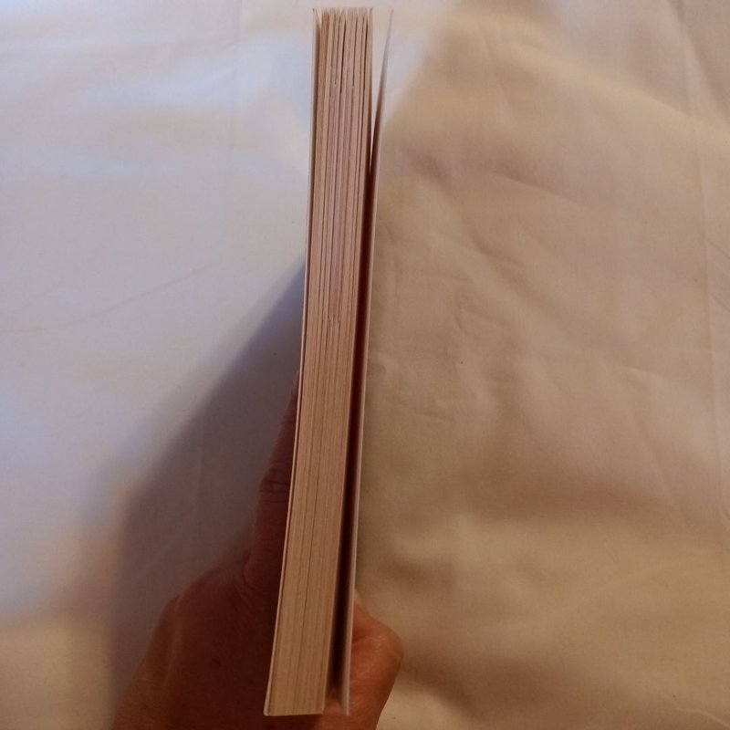 The Murders of Molly Southbourne