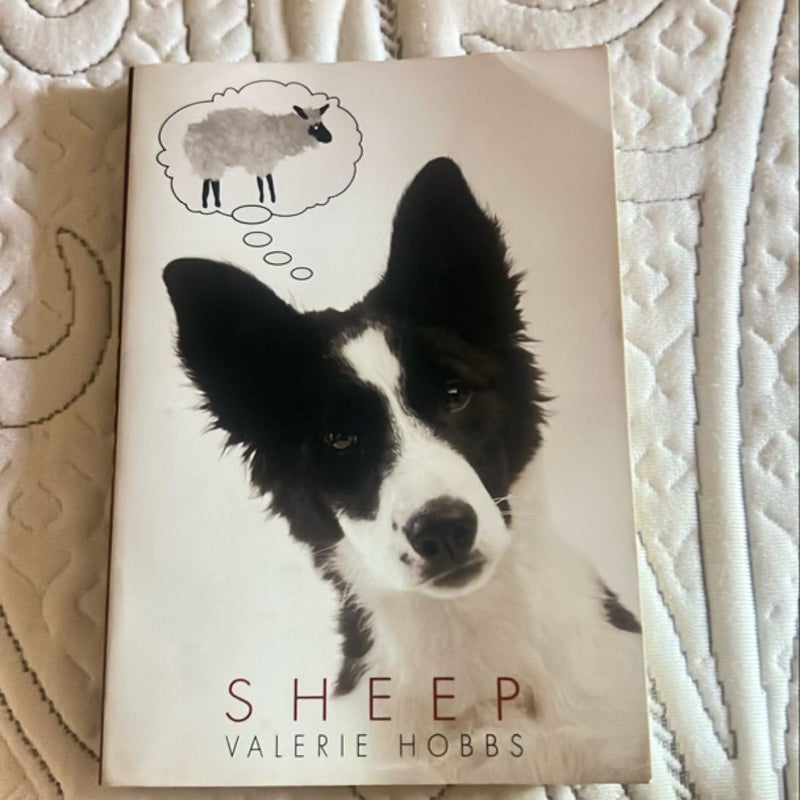 Sheep