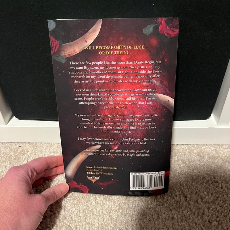 Kingdom of Crows series (first 4 books)