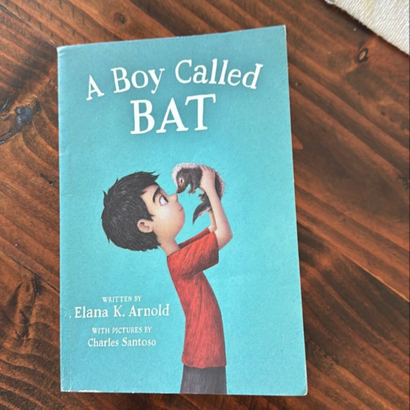 A Boy Called Bat