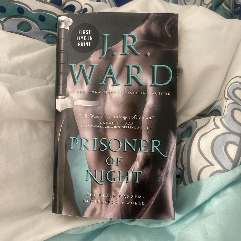 Prisoner of Night