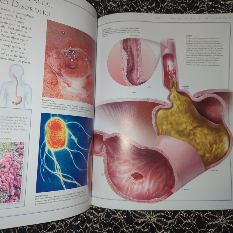 The Illustrated Atlas of the Human Body