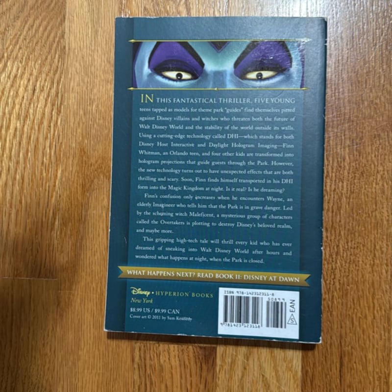 Kingdom Keepers (Kingdom Keepers)