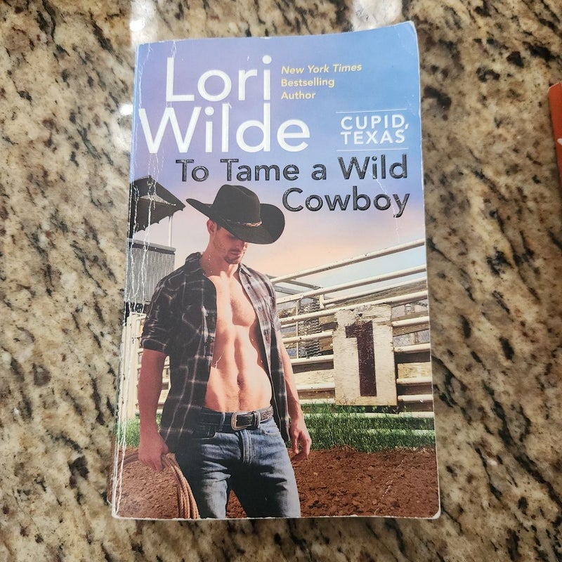 To Tame a Wild Cowboy