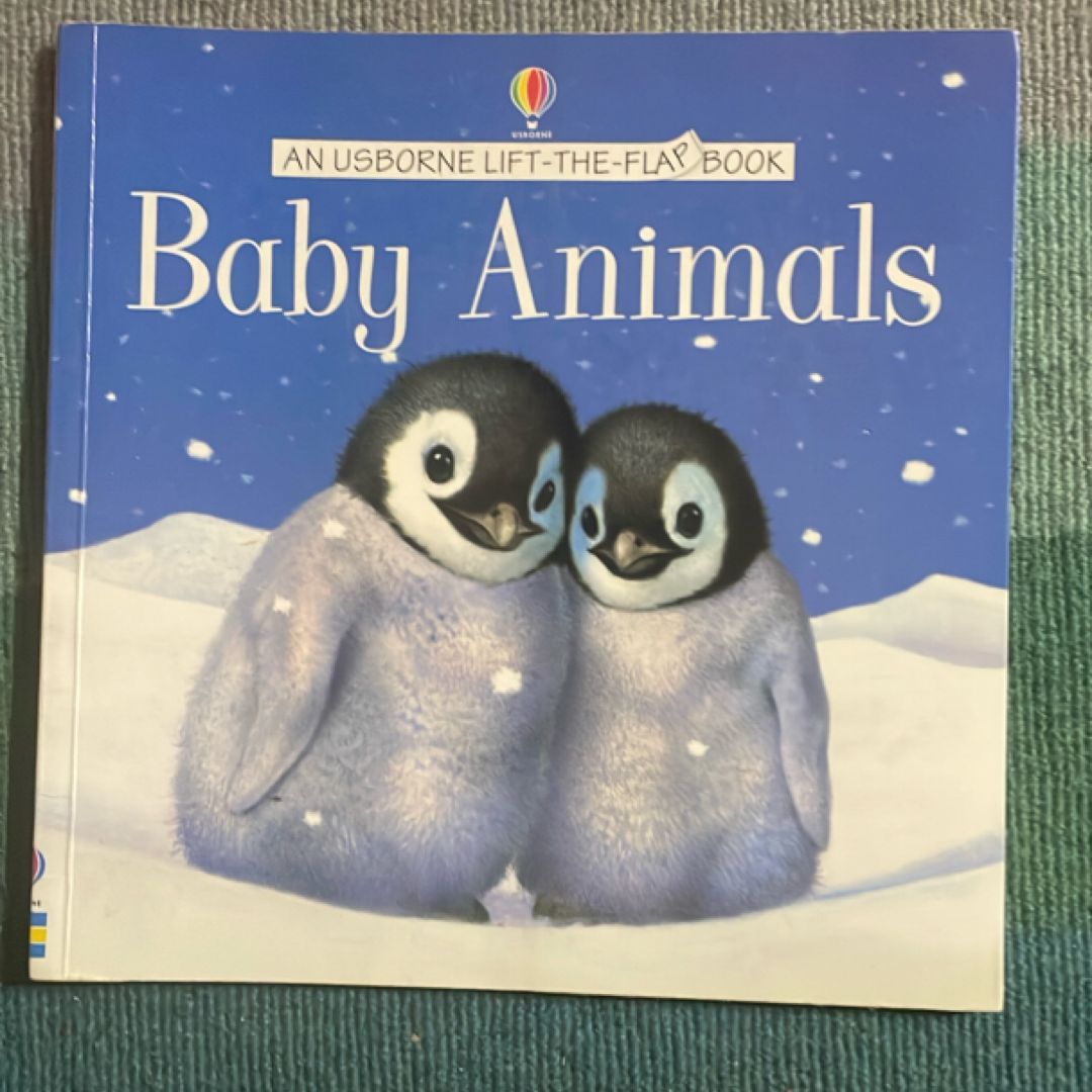 Baby Animals