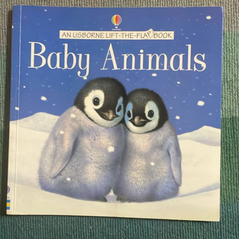 Baby Animals