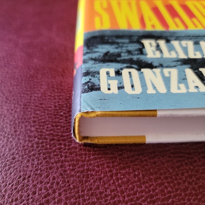 The Bullet Swallower