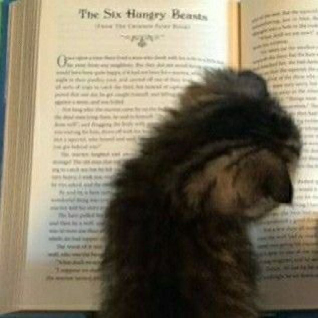 Bookduh