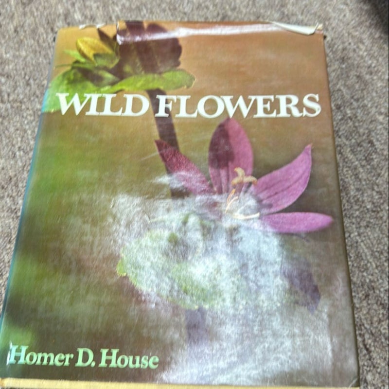 Wildflowers
