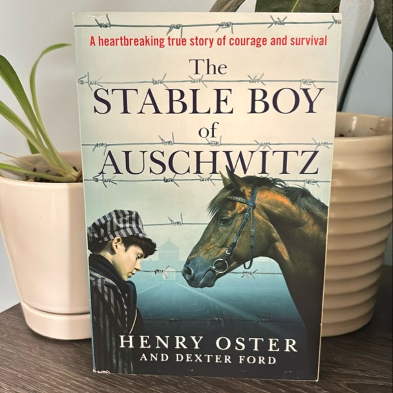 The Stable Boy of Auschwitz