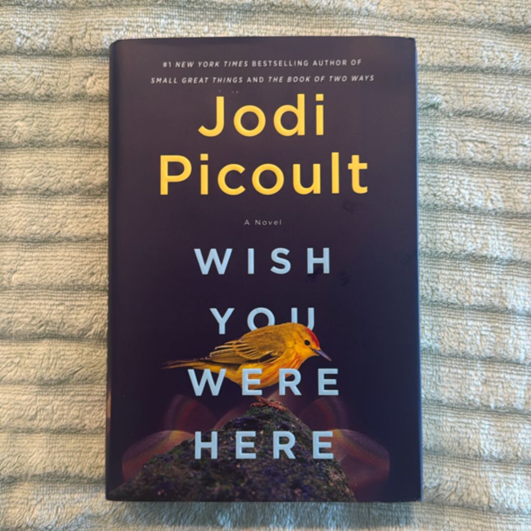 Sale image for 07e8709f-d3f9-4ca1-956b-84334d97d8be-nmFVoPB3egTCSEthp6BZLaevO3X2