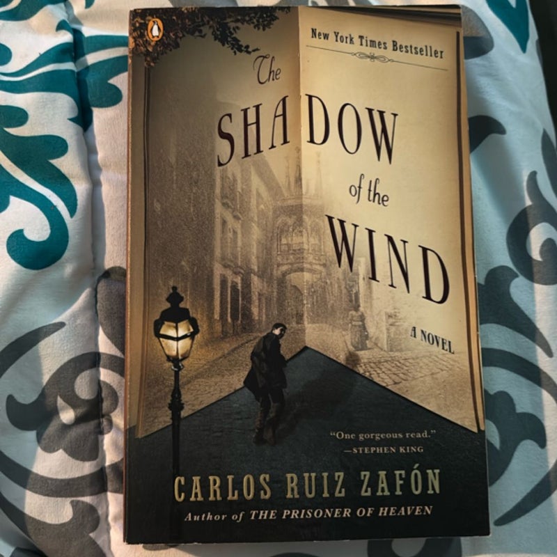 The Shadow of the Wind