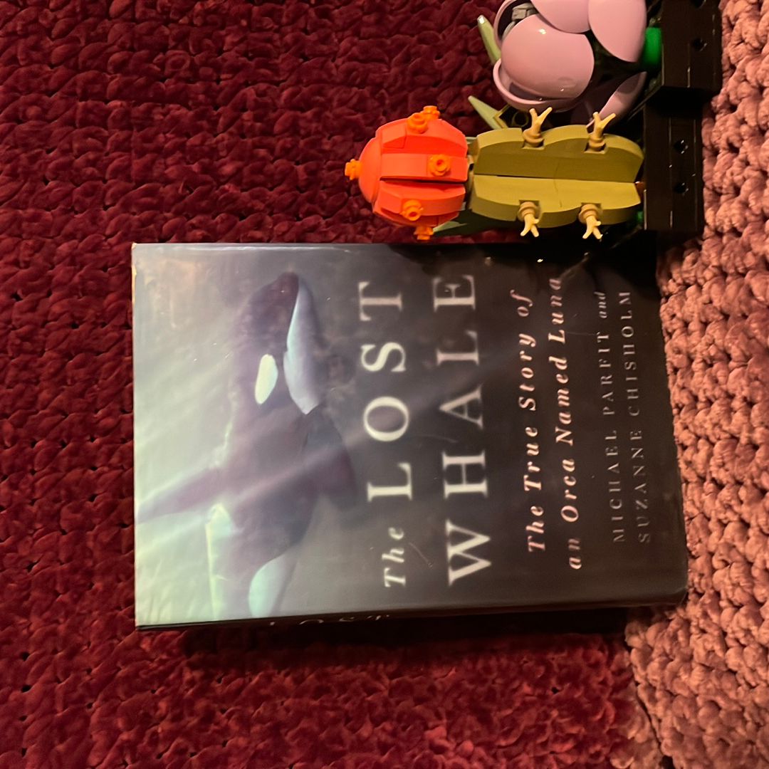The Lost Whale