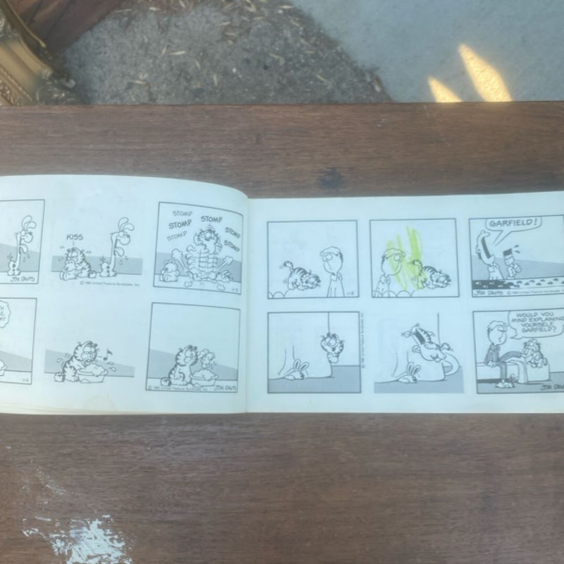 Garfield takes the Cake