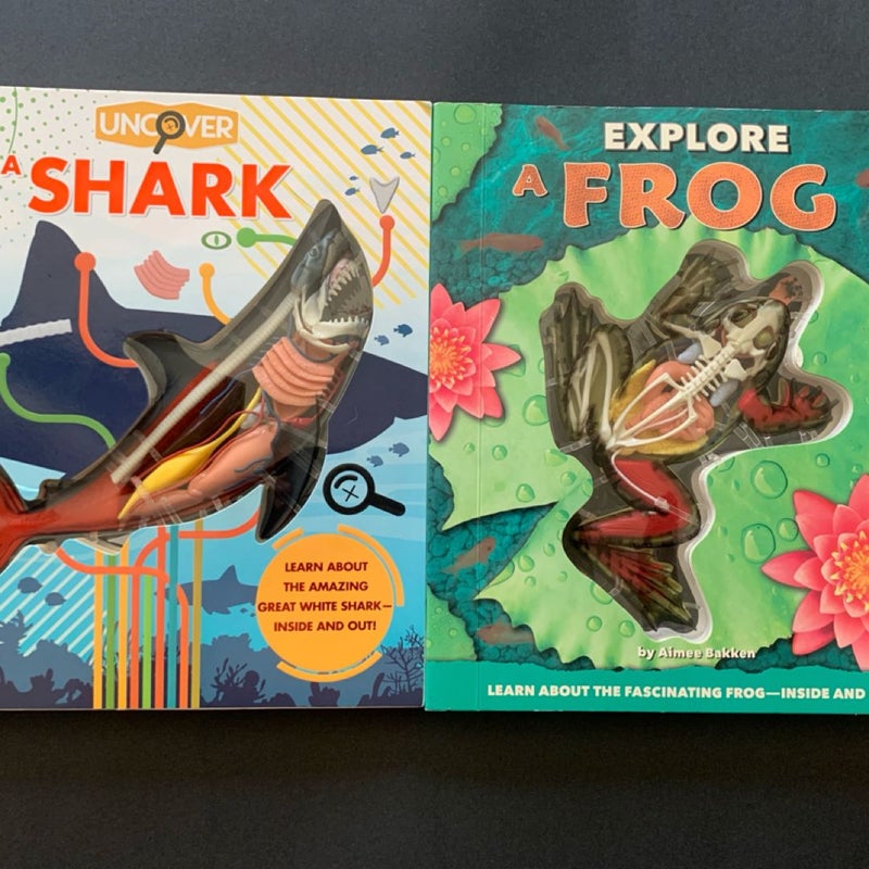 Uncover a shark Explore a Frog Elementary science anatomy 