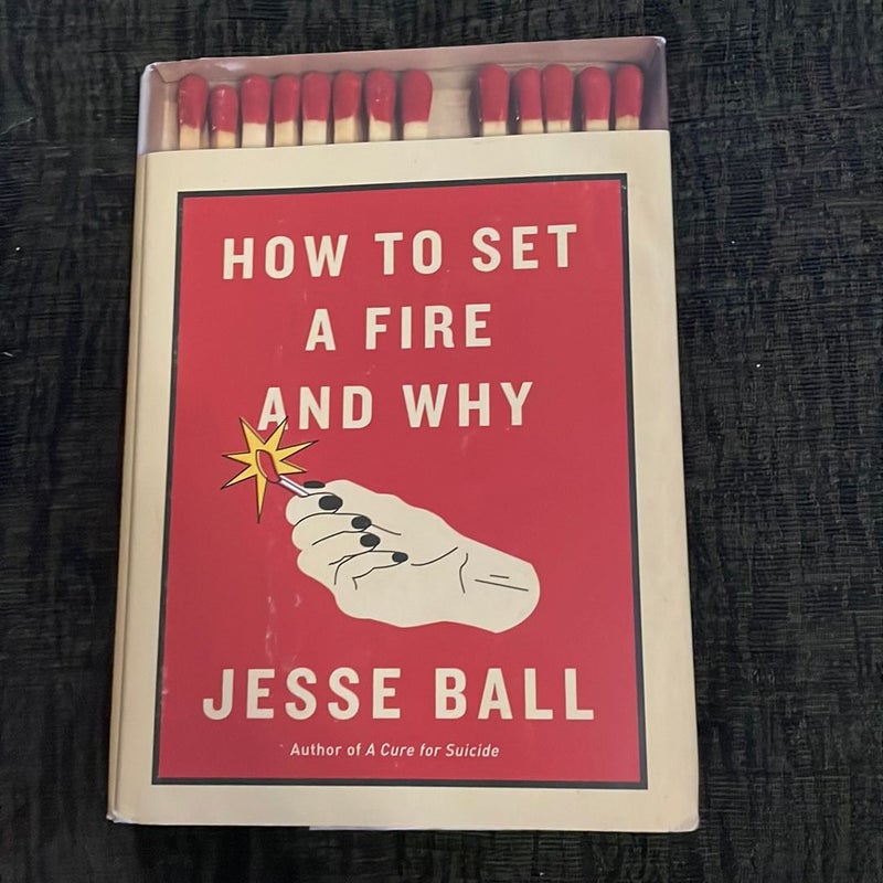 How to Set a Fire and Why