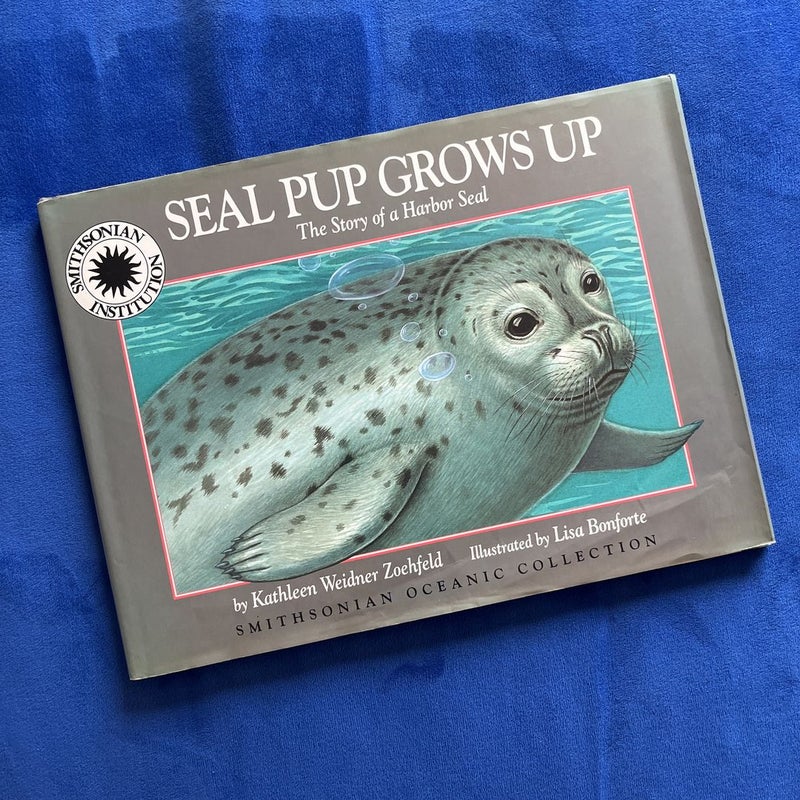 Seal Pup Grows Up