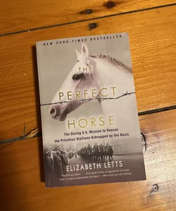 The Perfect Horse