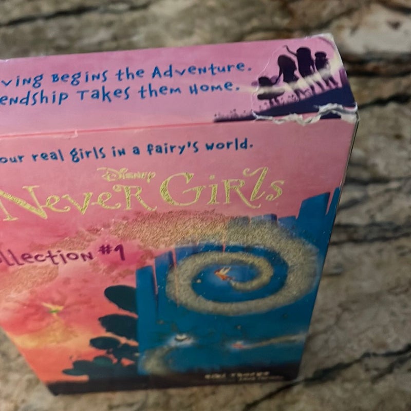 The Never Girls Collection #1 (Disney: the Never Girls)